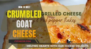 The Art of Melting Crumbled Goat Cheese: A Quick Guide