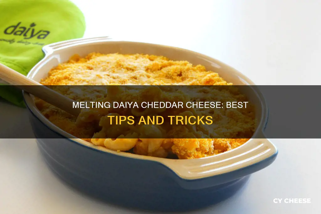 how to melt daiya cheddar cheese