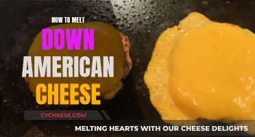 The Perfect Melt: American Cheese Made Easy