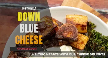 Melting Blue Cheese: The Ultimate Guide