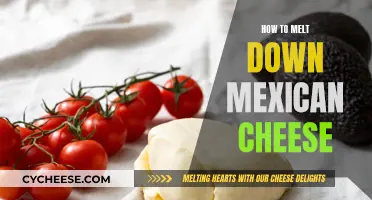 Melting Mexican Cheese: The Ultimate Guide