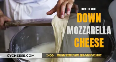 Melting Mozzarella: The Ultimate Guide to a Gooey Delight