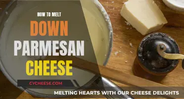 The Art of Melting Parmesan Cheese
