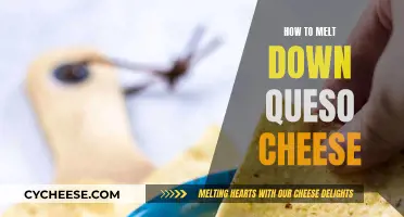 Melting Queso Cheese: Tips and Tricks