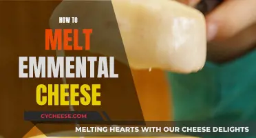 The Perfect Melt: Emmental Cheese Techniques