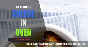 The Best Way to Melt Feta Cheese in Oven