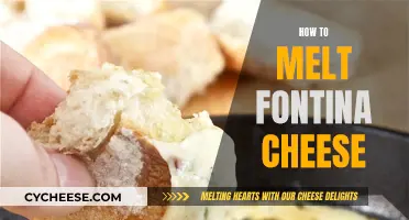 The Perfect Melt: Fontina Cheese Techniques