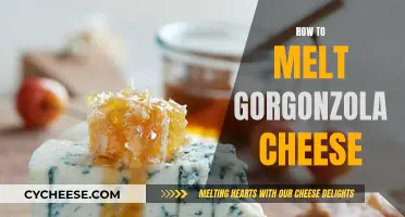 The Art of Melting Gorgonzola Cheese