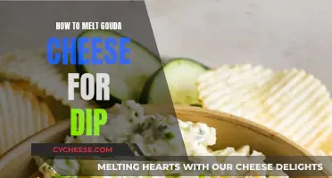 The Perfect Gouda Cheese Dip: Melting Tips