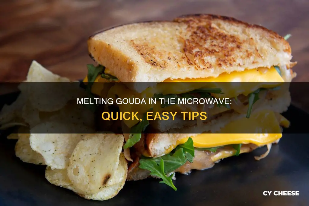 how to melt gouda cheese in microwave