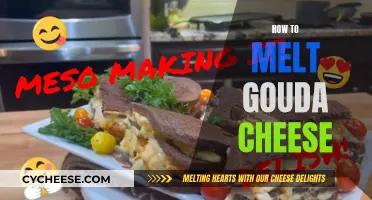 Melting Gouda Cheese: Tips and Tricks for Success