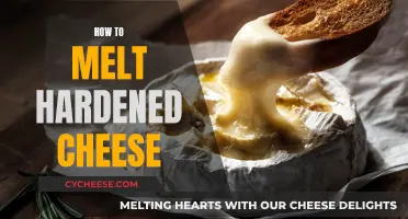 Reviving Hardened Cheese: Melting Techniques for Hard Cheese
