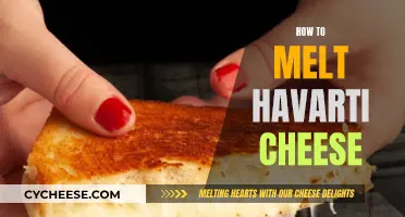 Melting Havarti: A Quick Guide to Havarti Cheese