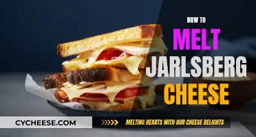 The Art of Melting Jarlsberg Cheese