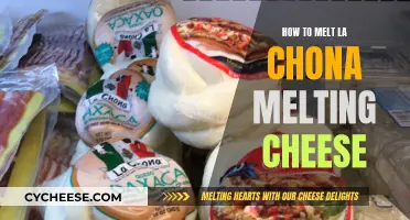 The Perfect Melt: La Chona Cheese