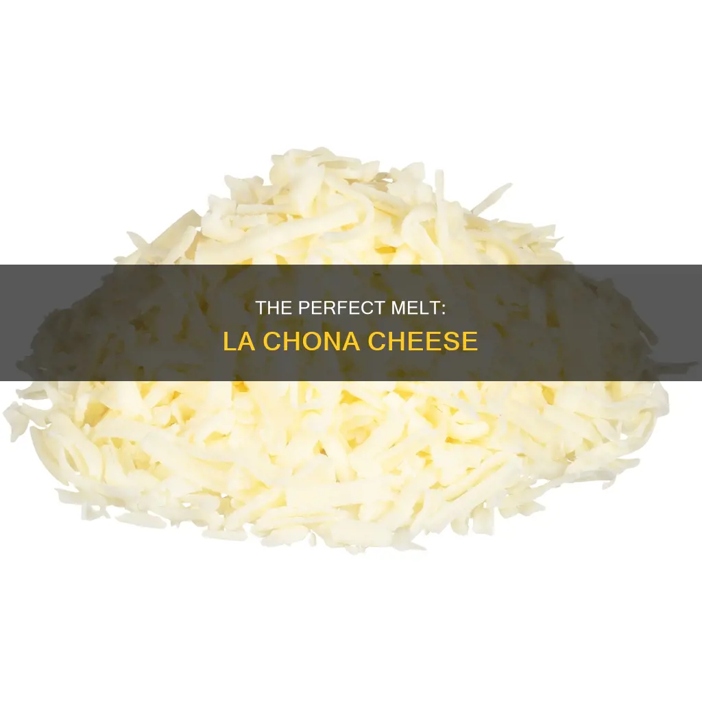 how to melt la chona melting cheese