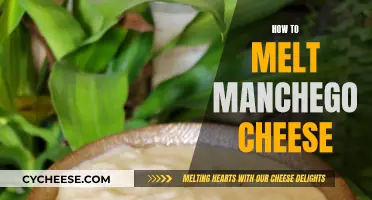 Melting Manchego: Techniques for the Perfect Cheese Melt