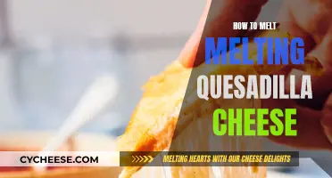 The Perfect Quesadilla: Melting Cheese Like a Pro