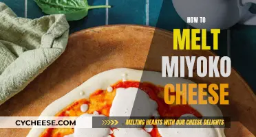 The Art of Melting Miyoko Cheese: A Simple Guide