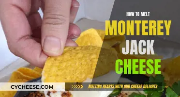 Melting Monterey Jack: Tips and Techniques