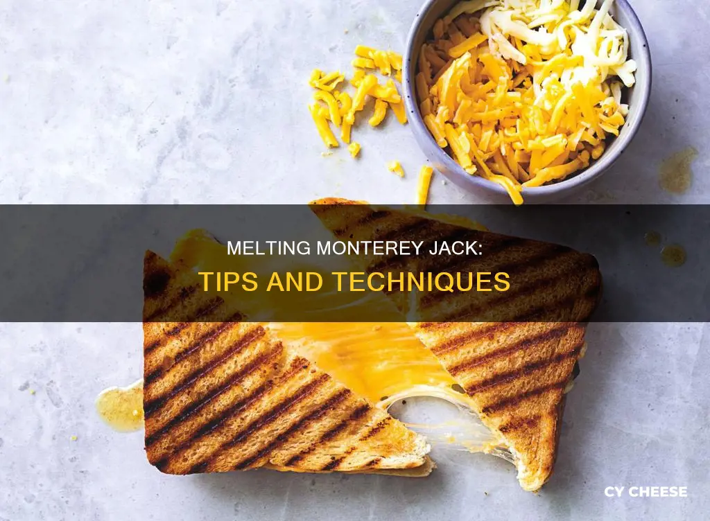 how to melt monterey jack cheese