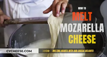 Melting Mozzarella: Best Techniques and Top Tips