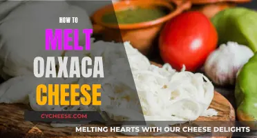 Melting Oaxaca Cheese: A Quick Guide to Getting it Right