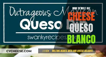 Melting Ole Cheese Queso Blanco: The Ultimate Guide