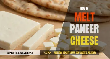 The Art of Melting Paneer Cheese