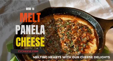 Melting Panela Cheese: The Ultimate Guide