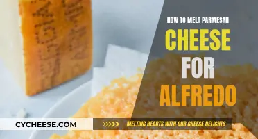 The Perfect Melt: Parmesan Cheese for Alfredo