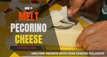 Melting Pecorino: The Ultimate Guide to Melting This Cheese