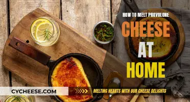 Melting Provolone Cheese: A Quick Guide