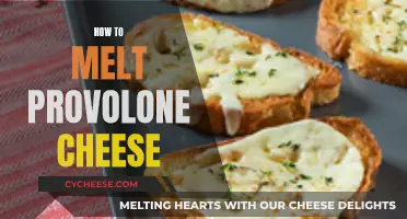 Melting Provolone Cheese: Tips and Tricks for the Perfect Melt