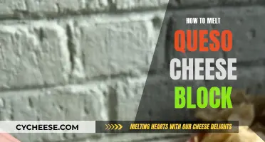 Melting Queso Cheese Block: A Quick Guide