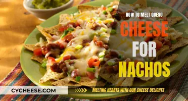 The Perfect Queso Cheese for Nachos: Melting Tips