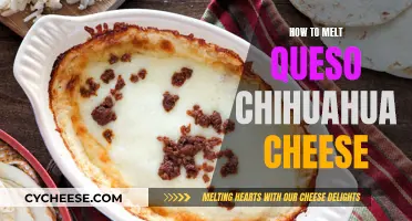 Melting Queso Chihuahua: Best Techniques and Tips