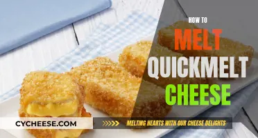 The Art of Melting Quickmelt Cheese