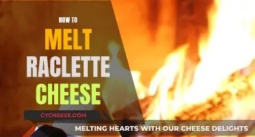 Melting Raclette Cheese: A Step-by-Step Guide