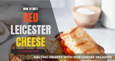 The Art of Melting Red Leicester Cheese