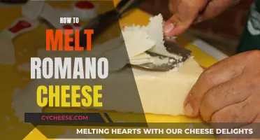 Melting Romano: A Quick Guide to Deliciousness