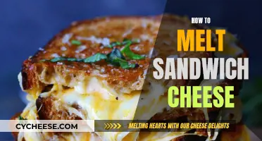 Melting Sandwich Cheese: Best Techniques and Tips