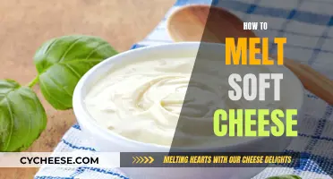 Soft Cheeses: Melting Techniques and Tips