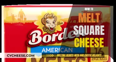 The Art of Melting Square Cheese