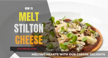 Melting Stilton: A Quick Guide to Deliciousness