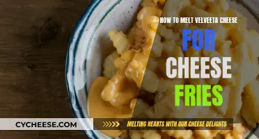 The Perfect Cheese Fries: Melting Velveeta Cheese