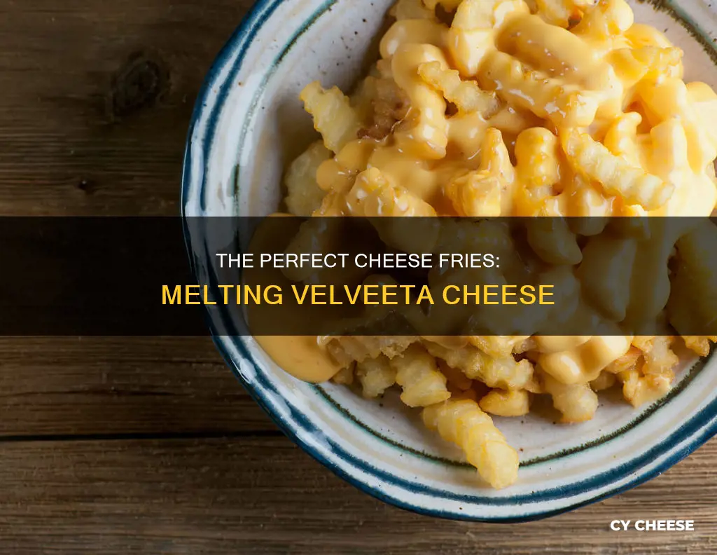 how to melt velveeta cheese for cheese fries