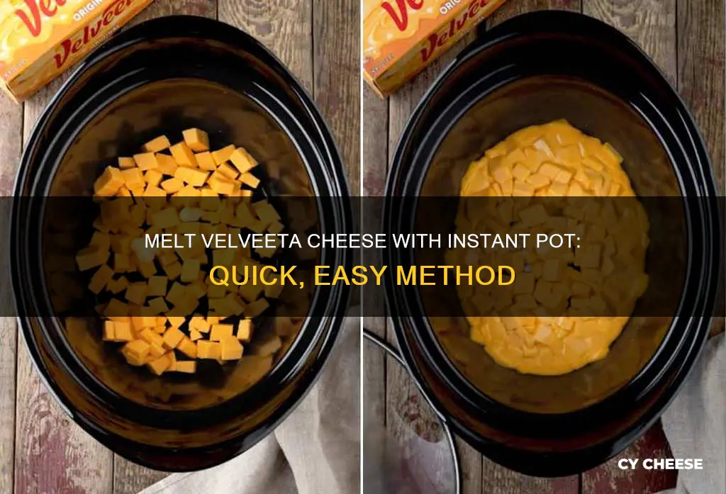 how to melt velveeta cheese in instant pot