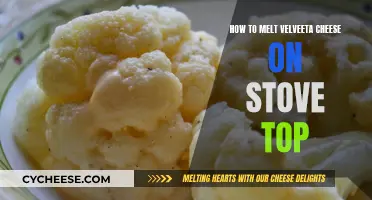 Melting Velveeta Cheese: Stovetop Techniques for Creamy Deliciousness