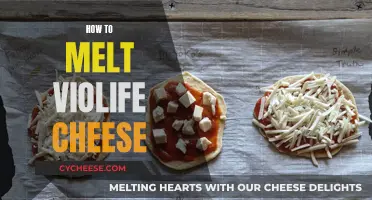 Melting Violife Cheese: Best Techniques and Tips